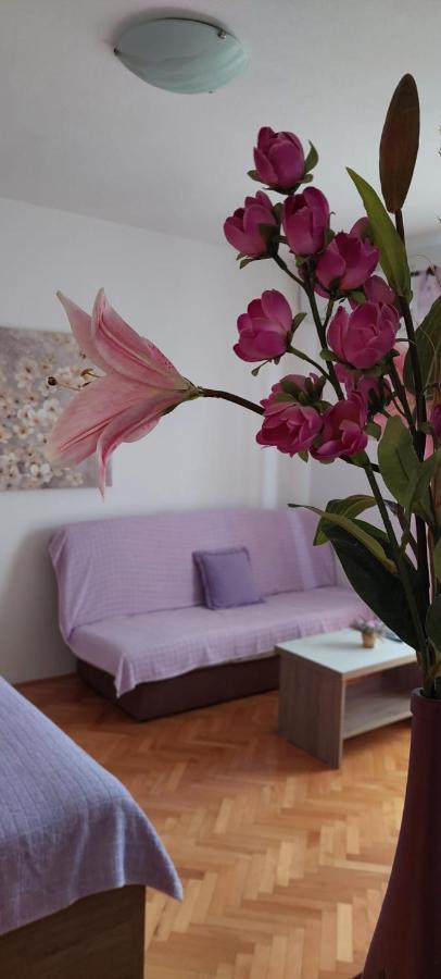 Apartments Barcarola باغ المظهر الخارجي الصورة